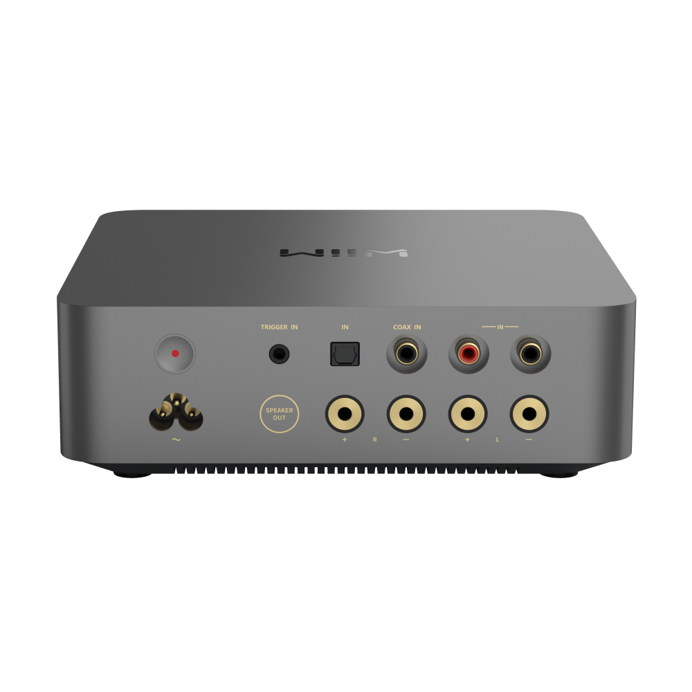 WiiM WiiM Vibelink Amp