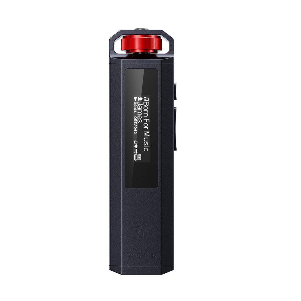 FiiO SKY ECHO NANO 本体（黒） FIIO Snowsky ECHO NANO FIO-SSENANO – エミライダイレクトストア
