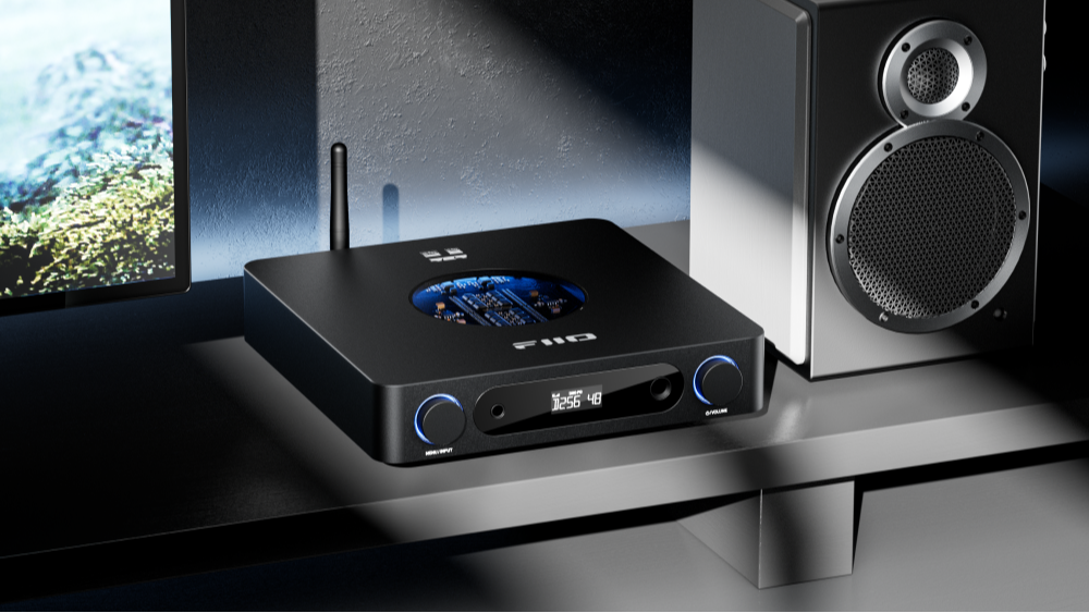 FIIO K13 R2R Black Silver FIO-K13R2R