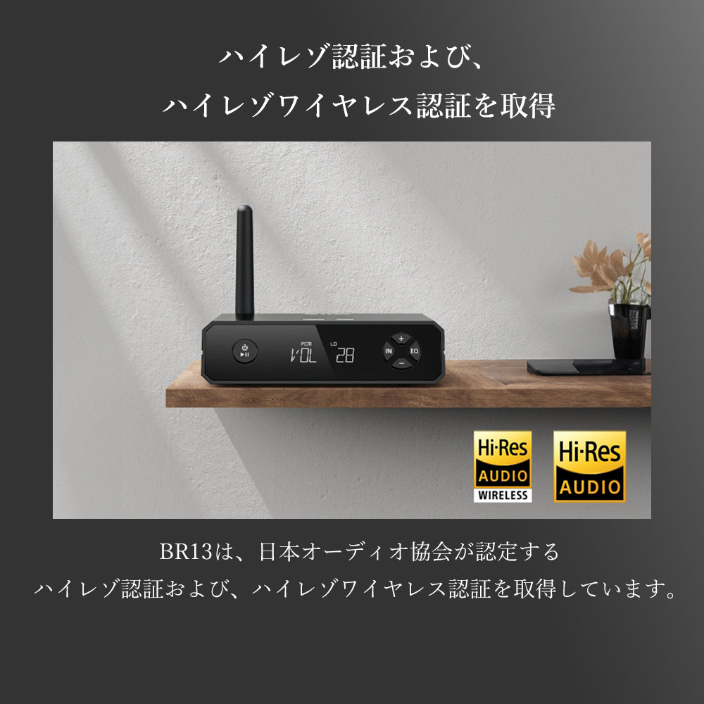 FIIO BR13 FIO-BR13