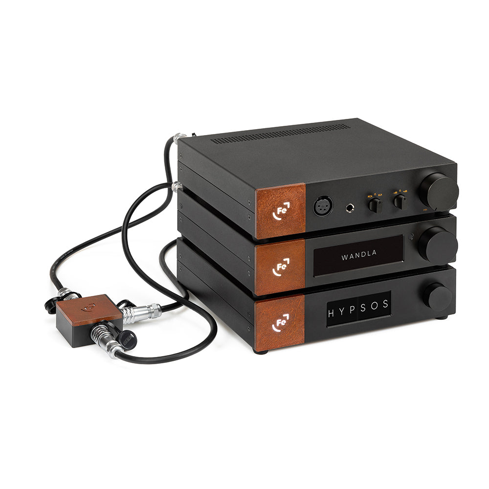 Ferrum Audio WANDLA