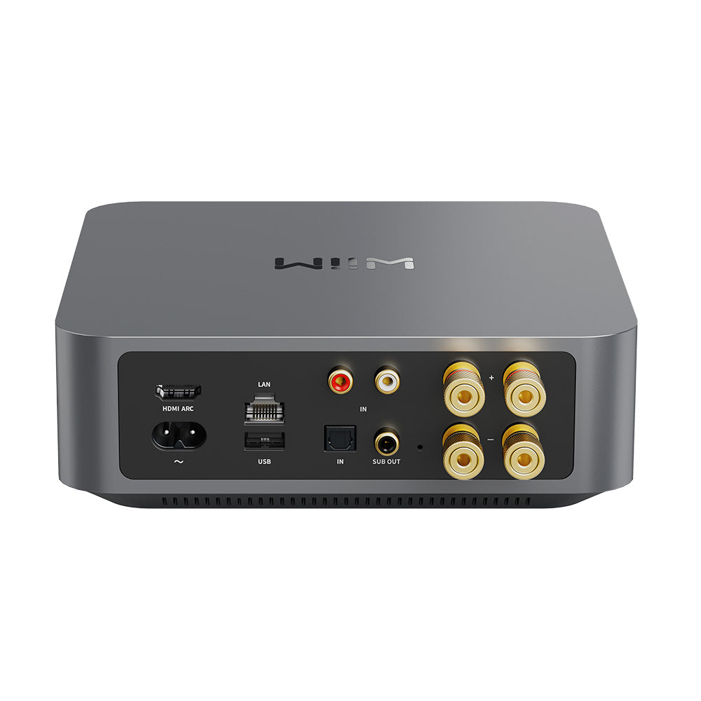 WiiM WiiM Amp Pro