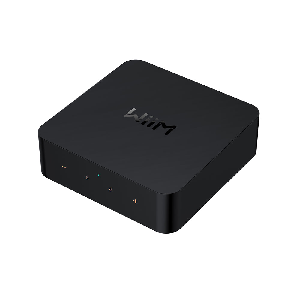 【在庫限り】WiiM WiiM Pro with Voice Remote