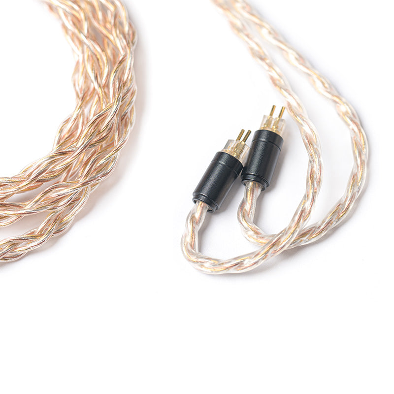 FIIO LC-RE 2PIN