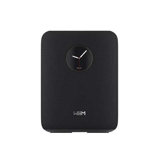 【OUTLET】WiiM Sound