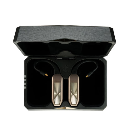 iFi audio GO pod MAX IFI-GO-PODMAX