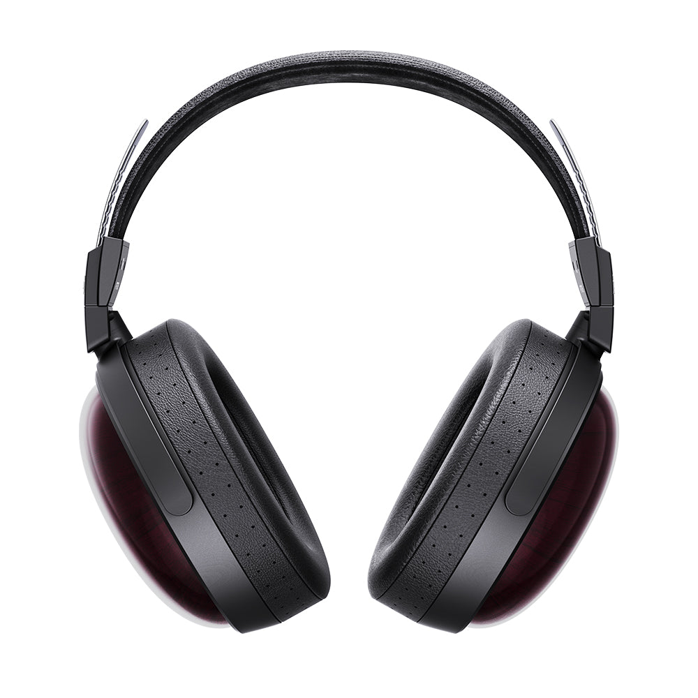 Fiio FT13 eイヤホンの保証書 領収書付き FIIO FT13 Black Natural FIO-FT13-B FIO-FT13-N – エミライダイレクト