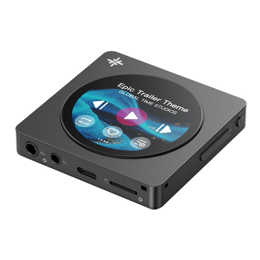 FIIO Snowsky DISC FIO-SSDISC – エミライダイレクトストア
