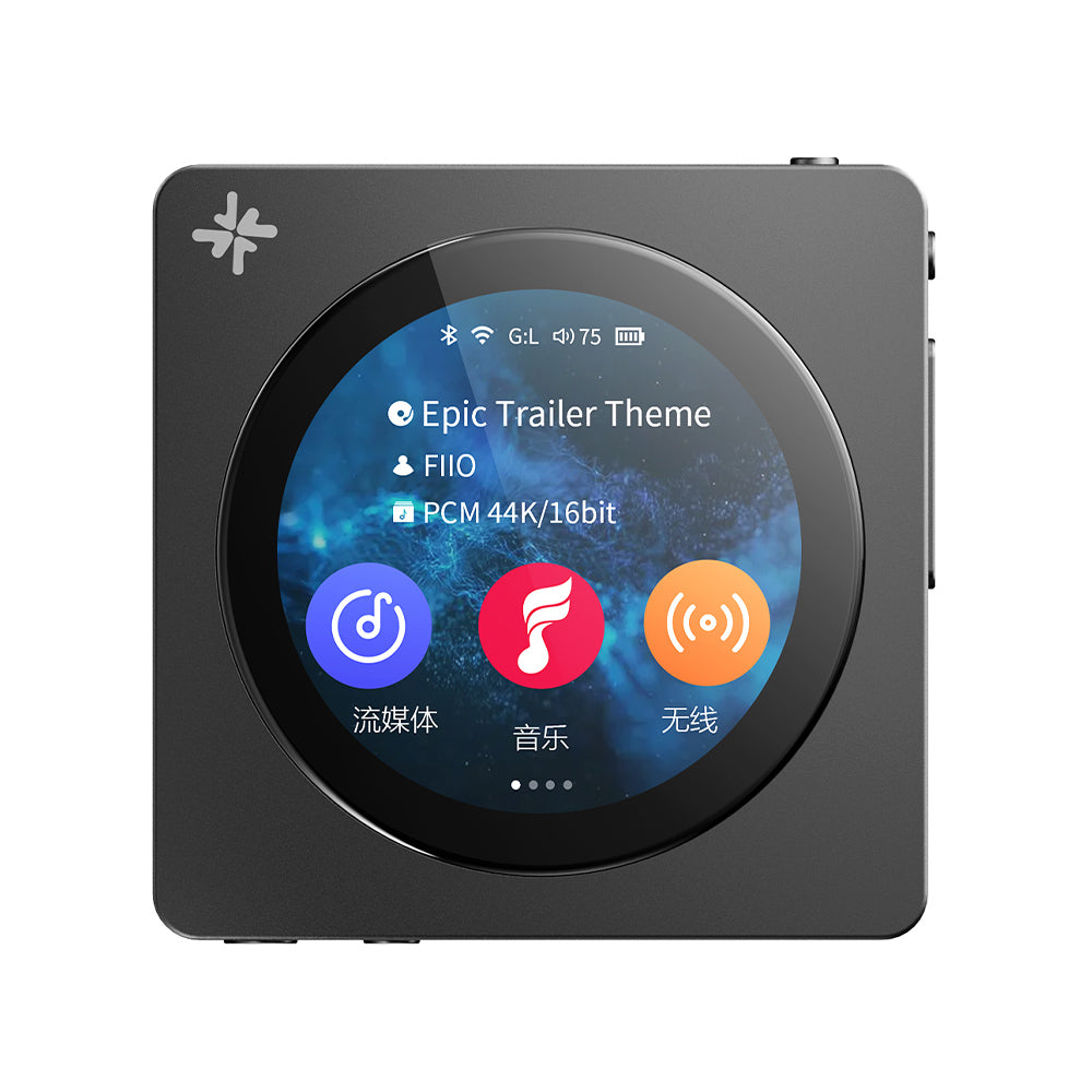 FIIO Snowsky DISC FIO-SSDISC
