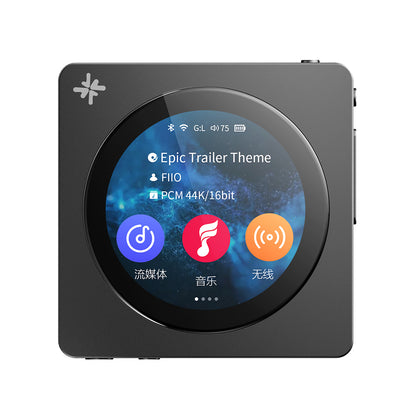 FIIO Snowsky DISC FIO-SSDISC