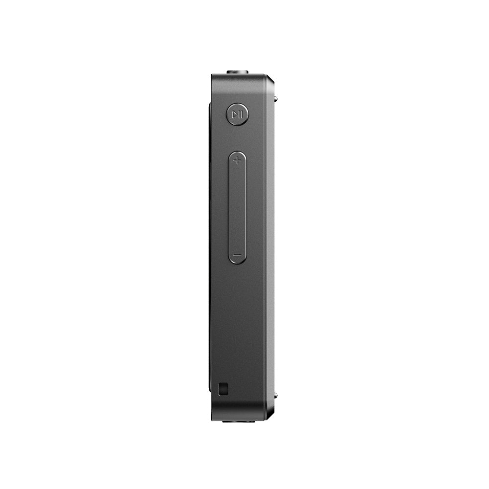 FIIO Snowsky DISC FIO-SSDISC