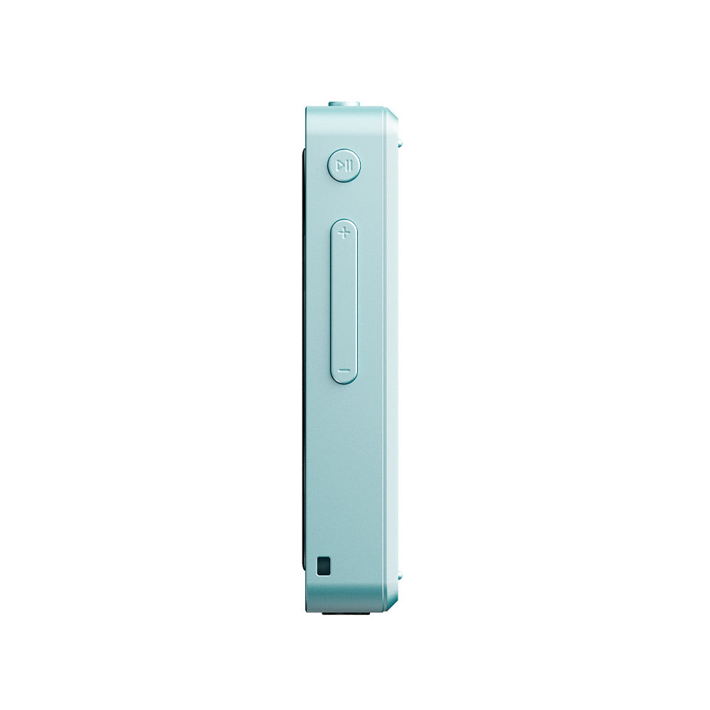 FIIO Snowsky DISC FIO-SSDISC