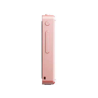FIIO Snowsky DISC FIO-SSDISC