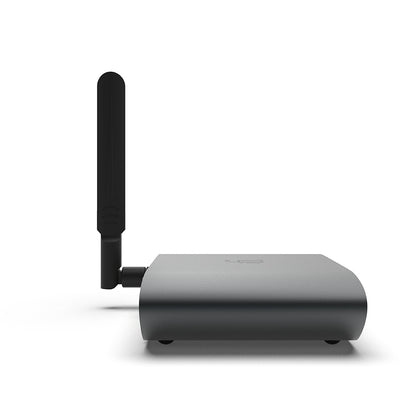 iFi audio ZEN Stream3 IFI-ZEN-STREAM3