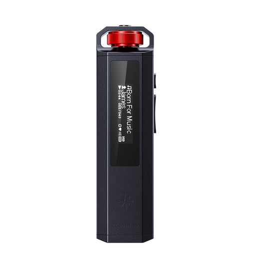 FIIO Snowsky ECHO NANO FIO-SSENANO