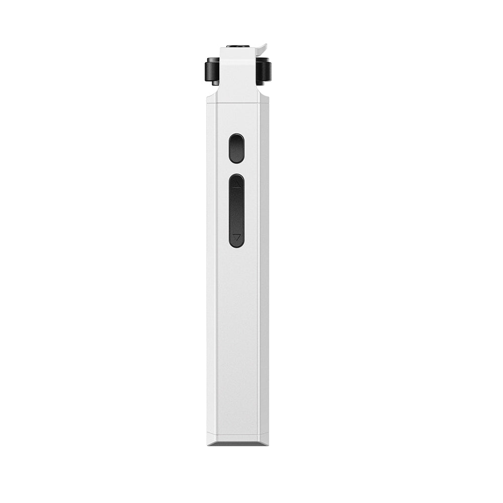 FIIO Snowsky ECHO NANO FIO-SSENANO