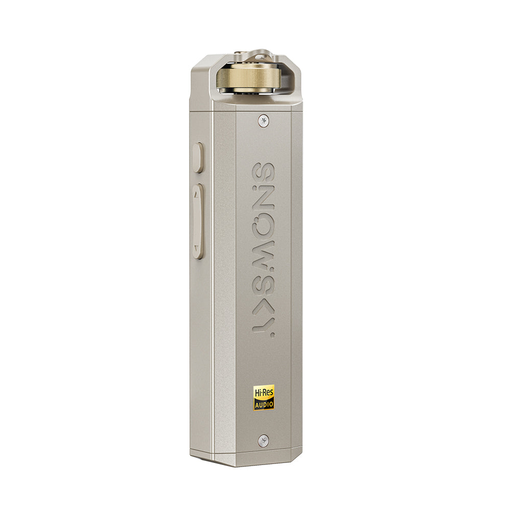 FIIO Snowsky ECHO NANO FIO-SSENANO