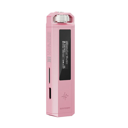 FIIO Snowsky ECHO NANO FIO-SSENANO