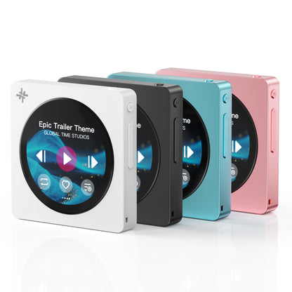FIIO Snowsky DISC FIO-SSDISC