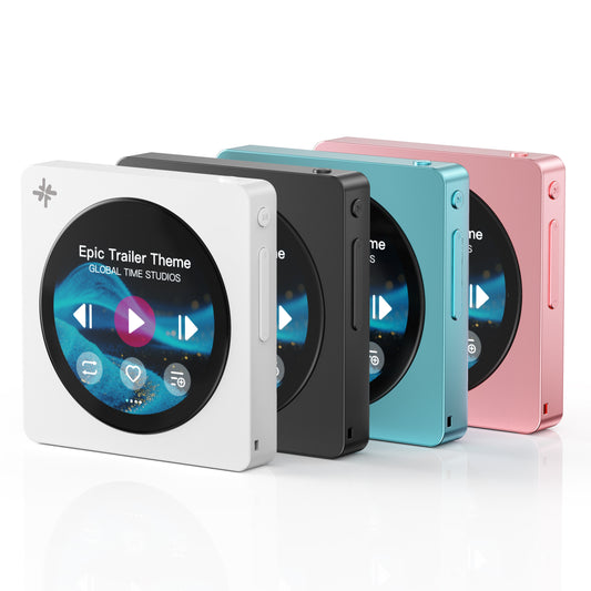 FIIO Snowsky DISC FIO-SSDISC