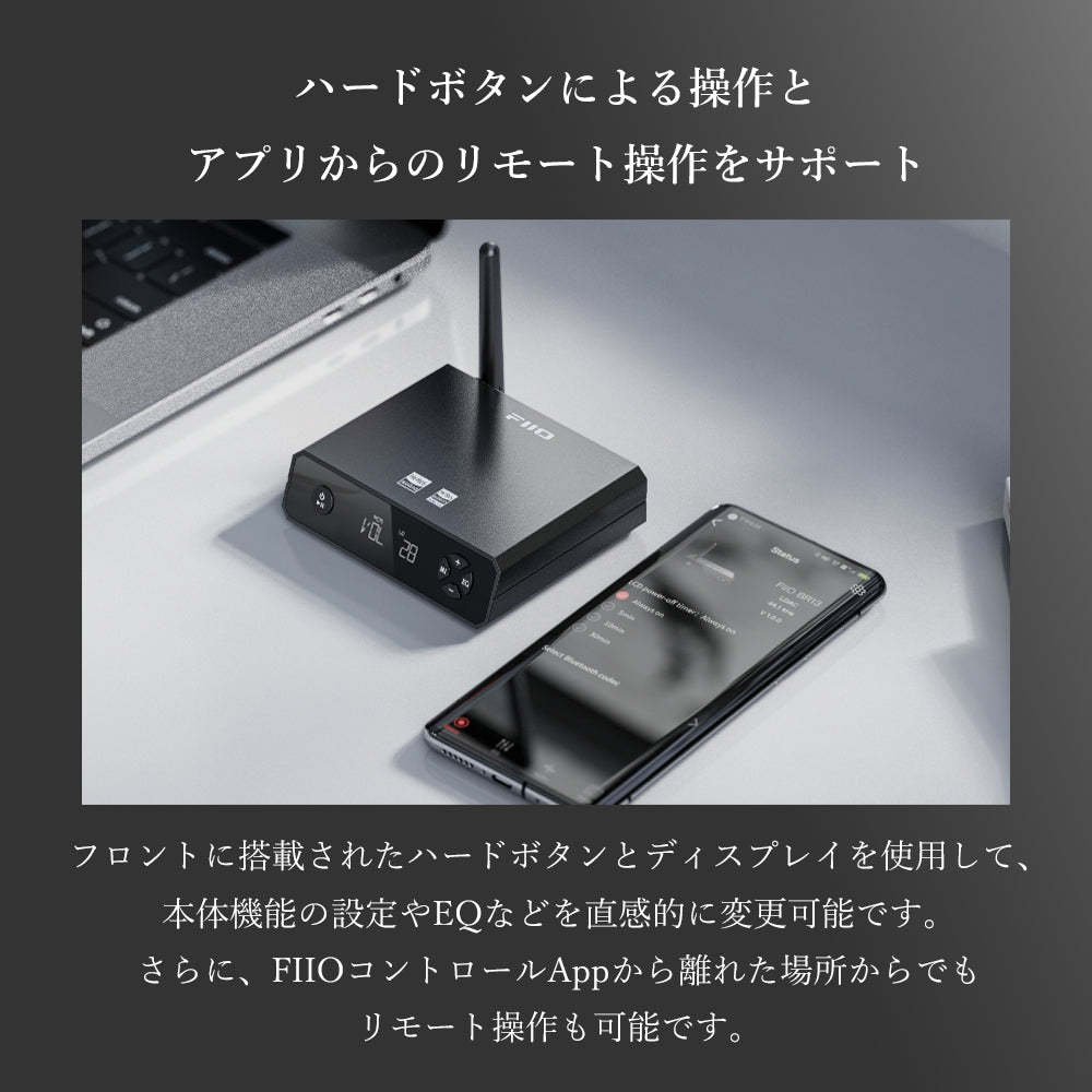 FIIO BR13 FIO-BR13 – エミライダイレクトストア